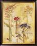 Fragile Petals by Heather Ramsey Limited Edition Print
