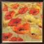 Poppy Crescendo by Fabrice De Villeneuve Limited Edition Print