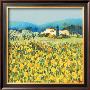 Lemon Grove, Tuscany by Hazel Barker Limited Edition Pricing Art Print