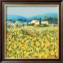 Lemon Grove, Tuscany by Hazel Barker Limited Edition Print