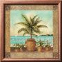 Potted Palm Ii by Don Tyler Limited Edition Pricing Art Print