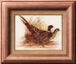 Game Birds I by B. Winstead Limited Edition Print