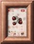 Fruits With Patterns by Vicki Bowman Limited Edition Pricing Art Print
