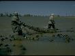 Kazakh Sweep Net Fishing For Osetra Sturgeon At Tanya Molodeznaya In Volga River Delta, Russia by Carl Mydans Limited Edition Print