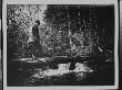 A Man Standing On A Log, Fishing In A Lake Near Lance's House by George B. Brainerd Limited Edition Pricing Art Print
