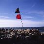 Warning Flags By The Beach by Mikael Bertmar Limited Edition Print