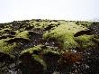 Moss Covered Rocks On A Hill by Atli Mar Limited Edition Print