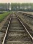 Train Tracks And Trees by Anders Lindh Limited Edition Pricing Art Print