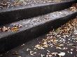 Steps Covered In Autumn Leaves, Iceland by Gunnar Svanberg Skulasson Limited Edition Print