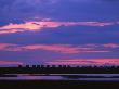 Silhouette Of Beach Huts At Dusk, Skane, Sweden by Jorgen Larsson Limited Edition Print