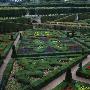 Box Hedges, Topiary Shapes And Dwarf Dahlias - Garden Of Love At Chateau De Villandry by Clive Nichols Limited Edition Print
