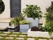 Hampton Court 2005: Roof Garden With Water And Metal Containers Planted, Designer: Fran Forster by Clive Nichols Limited Edition Print