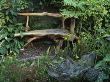 Back Garden With Wooden Bench, In Container Is Melanoselinum Decipiens, Designer: Peter Reid by Clive Nichols Limited Edition Print