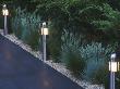 Path Bordered By Grasses Lit Up At Night, (Chelsea 2004) by Clive Nichols Limited Edition Print