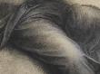 Draperie Enveloppant  Jambes D'une Figure Assise, Jambe Gauche Repliã©E; Ã‰Tude Pour Sainte Anne by Lã©Onard De Vinci Limited Edition Print