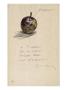 Lettre Autographe A Isabelle Lemmonier Dites  Lettres A Isabelle: Mirabelle by Edouard Manet Limited Edition Print
