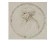 Homme Au Profil Deforme, Le Nez Ecrase by Leonard De Vinci Limited Edition Pricing Art Print