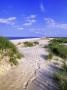 Pea Island Beach, Outer Banks, North Carolina, Usa by Michael Defreitas Limited Edition Print