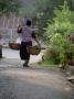 Woman Carrying Baskets, Laos by Eloise Patrick Limited Edition Pricing Art Print