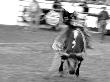 Bucking Bull, Santa Barbara Rodeo by Eloise Patrick Limited Edition Print