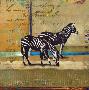 Serengeti Zebra by Fischer & Warnica Limited Edition Print