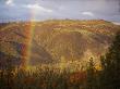 A Rainbow Arches Over A Clearcut In The Stanislaus National Forest by Phil Schermeister Limited Edition Print