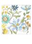 Bouquet Garden Iii by Chariklia Zarris Limited Edition Pricing Art Print