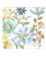Bouquet Garden Iii by Chariklia Zarris Limited Edition Pricing Art Print