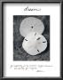 Dream by Deborah Van Swearingen Limited Edition Pricing Art Print