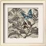 Butterfly Gardens by Bella Dos Santos Limited Edition Pricing Art Print