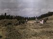 Farmers Work In A Field To Make Hay by Clifton R. Adams Limited Edition Print