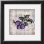 Tartan Fruit, Plum by Alma Lee Limited Edition Print