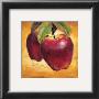 Luscious Apples by Marco Fabiano Limited Edition Pricing Art Print