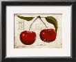 Cherry by Steff Green Limited Edition Print