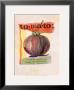 Tomato by Fred Hill Limited Edition Pricing Art Print