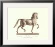 Horse, Left Panel by Antonio Canova Limited Edition Print