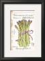 Asparagus by Peggy Turchett Limited Edition Pricing Art Print