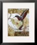 Humming Bird Ii by Sofi Taylor Limited Edition Print
