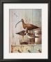 Shore Things, Too by Ray Hendershot Limited Edition Print