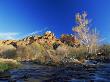 Oak Creek Running Before Cathedral Rocks, Red Rock Crossing, Sedona, Arizona, Usa by David Welling Limited Edition Print