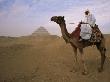Bedouin Camel Rider In Front Of Pyramid Of Djoser, Egypt, North Africa by Staffan Widstrand Limited Edition Pricing Art Print