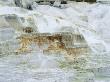 Limestone Formations At Minerva Hot Springs, Yellowstone National Park, Wyoming, Usa by David Welling Limited Edition Print