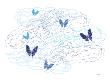Blue Butterfly With Trails by Avalisa Limited Edition Print