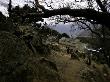 Climbers Hiking Through Small Mountain Village, Nepal by David D'angelo Limited Edition Print