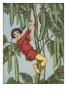 Illustration From Jack And The Beanstalk Of Jack Climbing The Stalk by Elizabeth Colborne Limited Edition Print