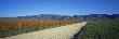 Road Along Farm, Antelope Valley, California, Usa by Panoramic Images Limited Edition Print