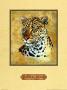 Leopard by Nancy Azneer Limited Edition Print