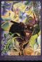 Enchanting Jungle Light, Black Jaguar by Joan Hansen Limited Edition Print