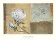 Sonata I by Julianne Marcoux Limited Edition Pricing Art Print