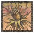Pineapple Passion by Patricia Lynch Limited Edition Pricing Art Print